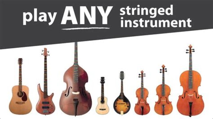 Yo-Yo Ma's stringed instrument