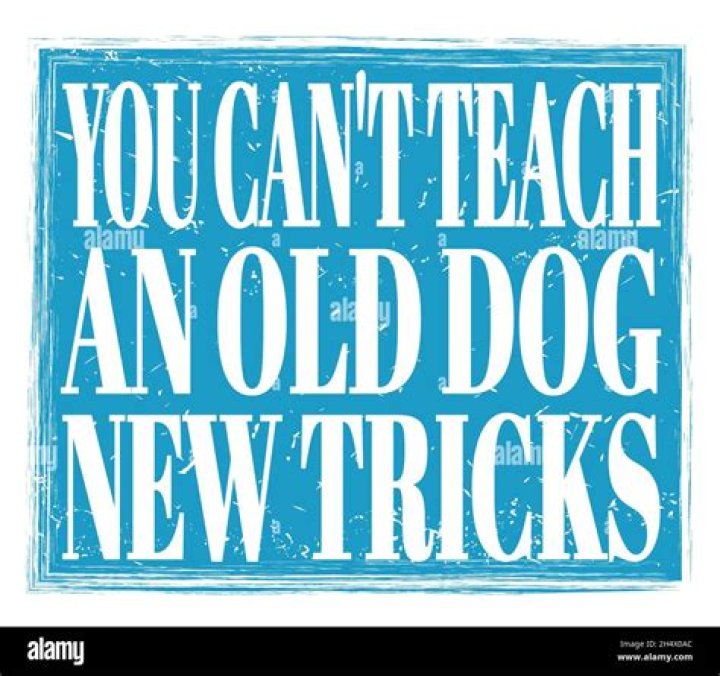 You can't teach an ___ new tricks: 2 wds.