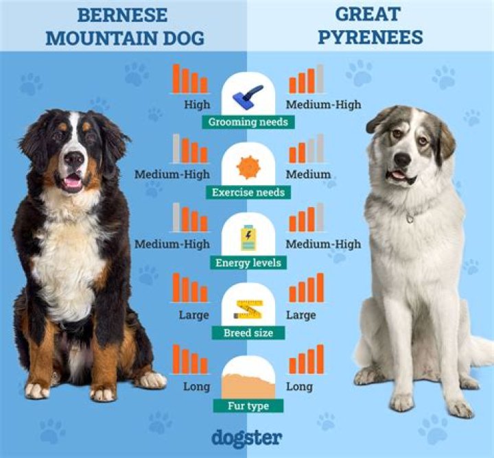 You could get one by relaxing in a certain type of booth